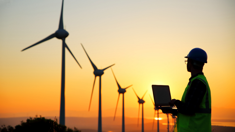 Can the Rapid Growth of the Renewable Energy Sector Continue? Key Changes Expected in the Next Decade