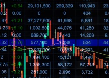 How to Assess a Company’s Shareholder Return and Make Informed Investment Decisions