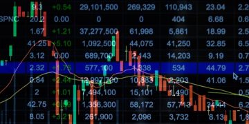 How to Assess a Company’s Shareholder Return and Make Informed Investment Decisions