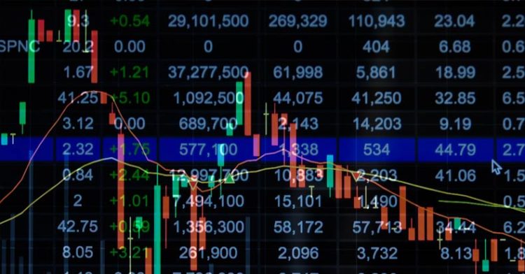 How to Assess a Company’s Shareholder Return and Make Informed Investment Decisions