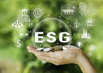 The Rise of ESG Investment Funds: Should Investors Integrate Environmental, Social, and Governance Standards into Their Decisions for Better Returns?