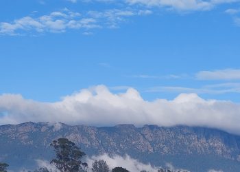 Global Economic Slowdown: Which Sectors Are Most Likely to Benefit?