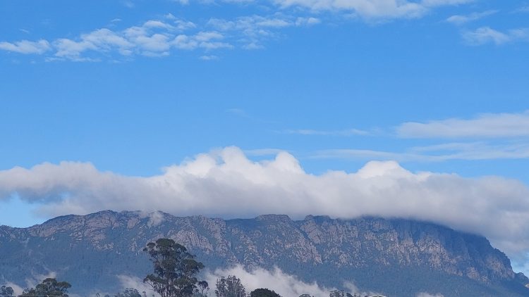 Global Economic Slowdown: Which Sectors Are Most Likely to Benefit?