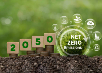 Accelerating Global Decarbonization: How Can Investors Identify New Growth Opportunities in the Green Economy Transition?