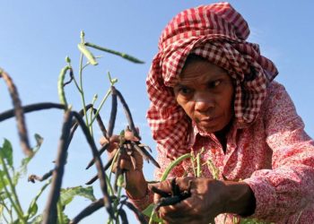 How Fast is the Real Pace of Global Economic Recovery? Will Growth Be Sustainable in the Future?