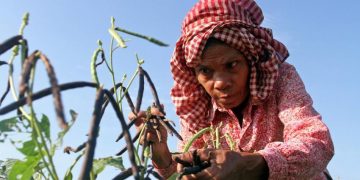 How Fast is the Real Pace of Global Economic Recovery? Will Growth Be Sustainable in the Future?