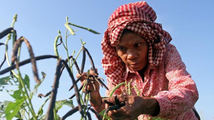 How Fast is the Real Pace of Global Economic Recovery? Will Growth Be Sustainable in the Future?