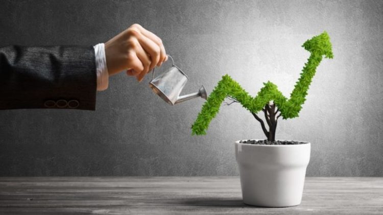 Diversified Investment Portfolios: Which Bonds and Mutual Funds Can Weather Future Economic Fluctuations?